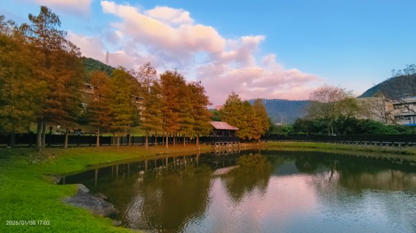 #花卉試驗中心 #永公路500巷 #平菁街42巷 #原住民公園 #士林官邸 1/42979251