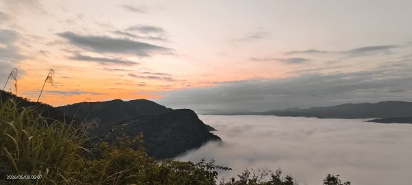#翡翠水庫壩頂 #月亮 #日出 #雲海 #藍腹鷴母鳥 5/8&133050269