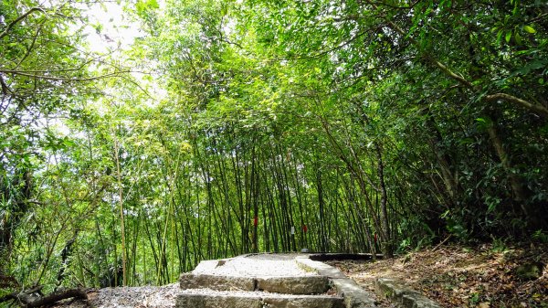 三貂嶺,中坑,柴寮古道1838273