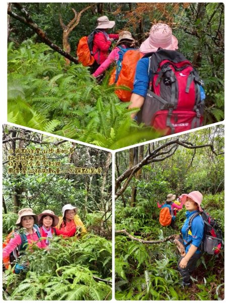 關西大東坑山/草長難過  順訪東安古橋2930526