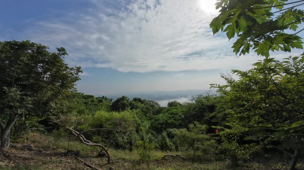 高雄 小崗山2927244