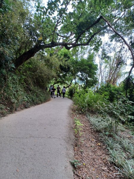 【台中北屯】台中大坑九號步道2933009