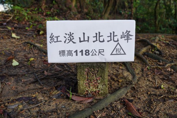 基隆 仁愛 紅淡山、金交椅山2714987