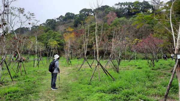 《台中》新春減肥｜龍井竹坑南寮登山步道202202121608735