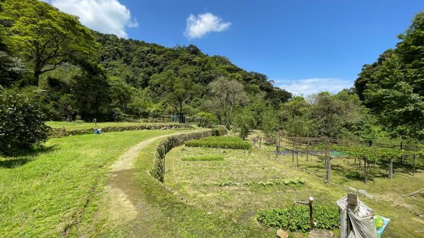新北｜瑞芳．雙溪 淡蘭古道中路．暖東舊道（TK2-1~2-5 暖東峽谷步道、暖東舊道、五分山步道）2004160