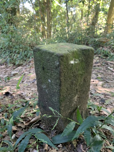 20251004高雄尾寮山-西北峰2907825