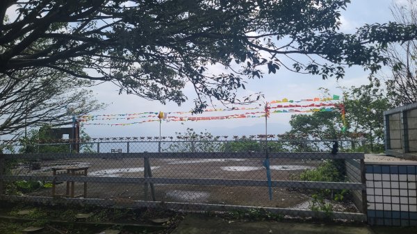 2025-0204 鶯歌_大凍山_三角埔頂山_迴龍2707875