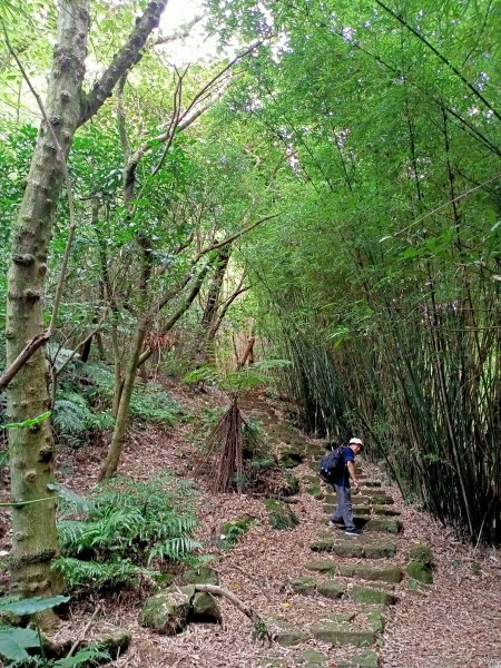 2-2 紗帽路旁磺溪祕境→白雲瀑布→陽明山前山公園→陽明醫院舊址1825893