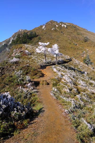 風雨雪中嘉明湖初登場1182067