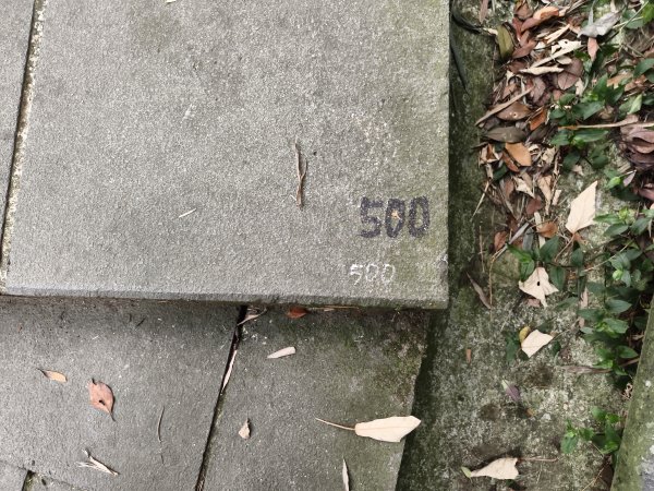 [百山百鳥尋旅-15/15] 2025_0929 硬漢嶺步道(觀音山)2900994