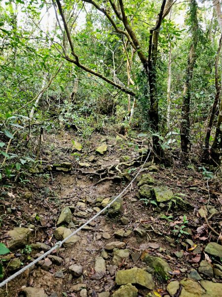 白雲山-小百岳#69-高雄市甲仙區2750255