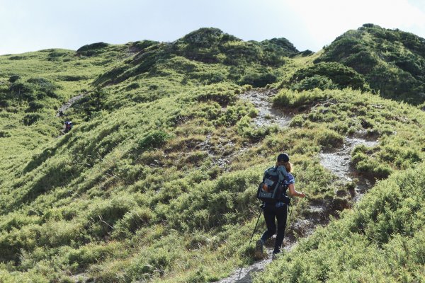 合歡北峰、小溪營地｜新手試煉場、老手耍廢975491