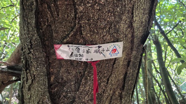 新北近郊小而美的賞景好路線野柳駱駝峰玉田古道O型2897888