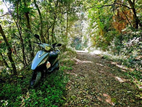 鳴海山-小百岳#71-高雄市茂林區2930856