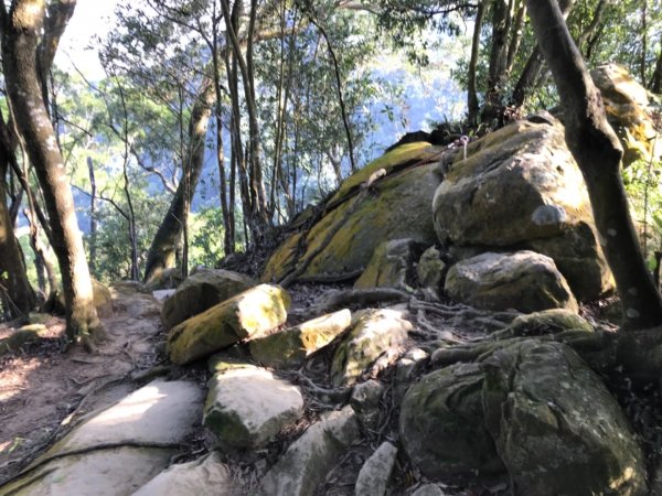 五寮尖上大風狂448885