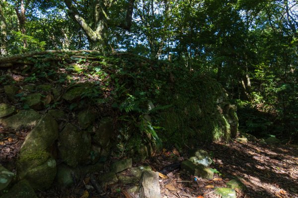 【秀巒-芝生毛台山】砲台遺址1030518