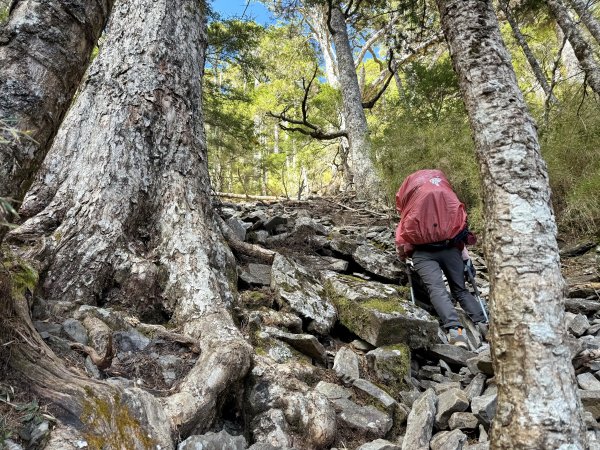 大眾運輸登 雪山西稜 (中雪山未竟) 2025/12/3~92970040