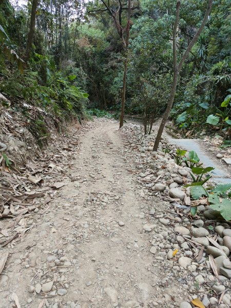 松柏嶺登廟步道2372047