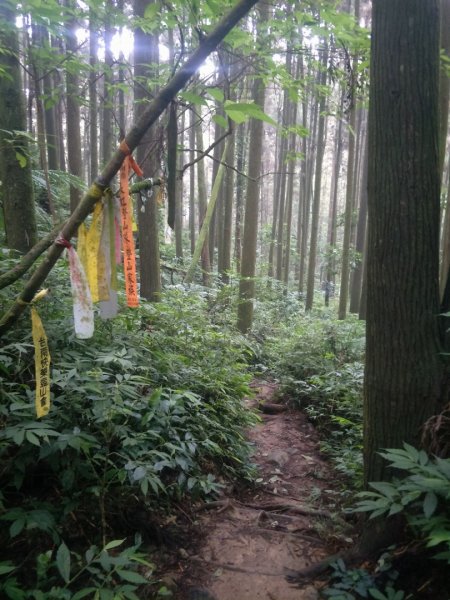 竹崙、志騰山步道(竹崙古道)1452915