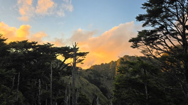 20241124-1130 南二段10座百岳2665422