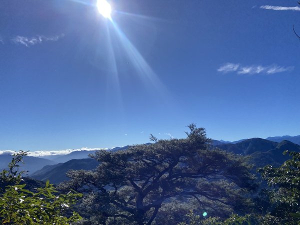 114.11.16 北得拉曼追黃金山毛櫸2937927