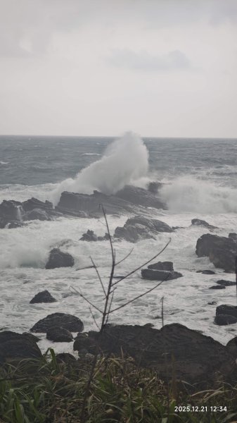 2025-1221 情人湖-石山-老鷹岩-大武崙砲台-外木山國旗嶺-濱海步道-海興步道-情人湖2966884