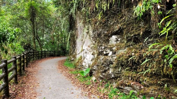 烏來大羅蘭古圳步道（馬岸步道），信賢步道，昇龍瀑布，文山枹子腳山（140高地公園），小坑溪文學步道1807964