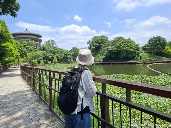 《新竹》湖光山色｜峨眉湖環湖步道+寶山小西湖步道20260517