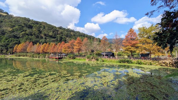 望龍埤,鎮頭山,蜊埤湖2391875