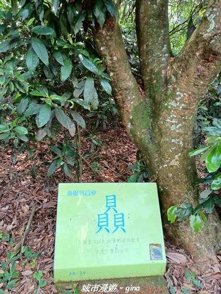【彰化員林】員林百果山上最具人氣的休閒步道。 台灣百大必訪步道。 藤山步道1689470