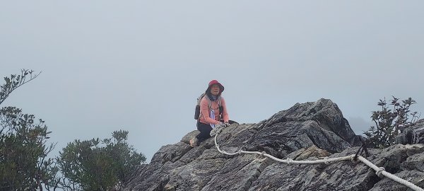 台中 鳶嘴稍來山O繞+稍來神木