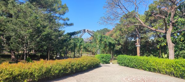 大湳森林公園2910971