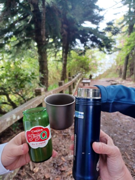 【苗栗大湖】山頂展望佳等到雲海。 馬那邦山登山步道2806817