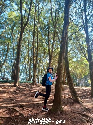 【南投魚池】郊山好視野。 金龍山(槌仔寮山)步道2976302