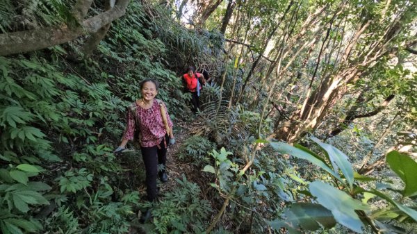 忘憂古道往白石後仙洞由東勢格古道走到平溪國中2908186
