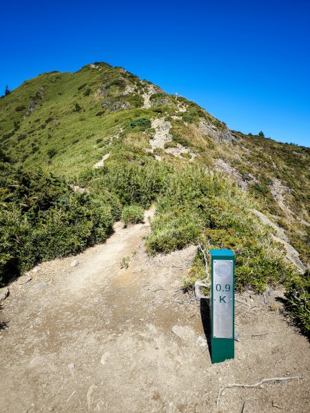 2025-11-07 合歡北峰、小溪營地、鷹石尖、北峰名樹2934333