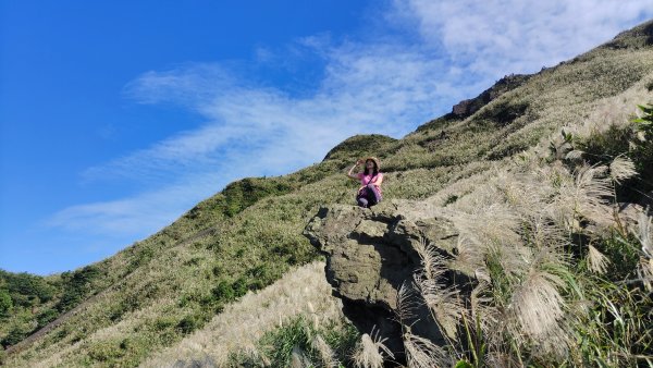 東北角遇見芒芒花海封面