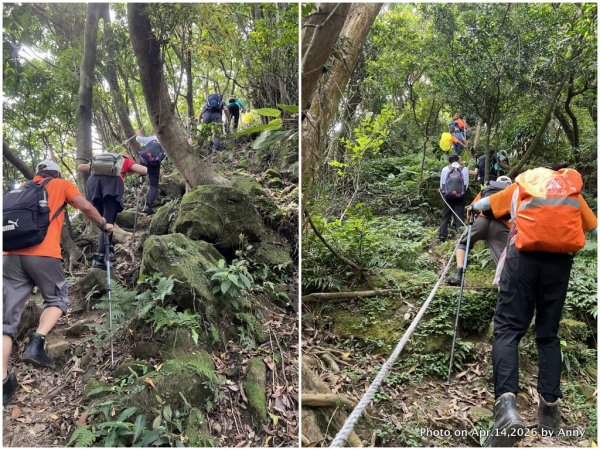四腳亭→五分山→十分(四五十縱走)