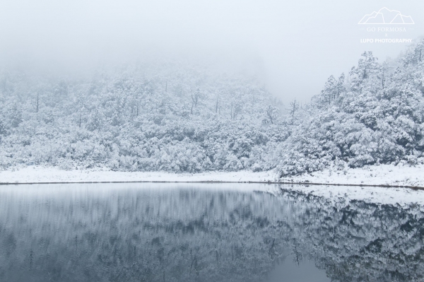 【攝野紀】夢幻般的雪中松蘿湖264538