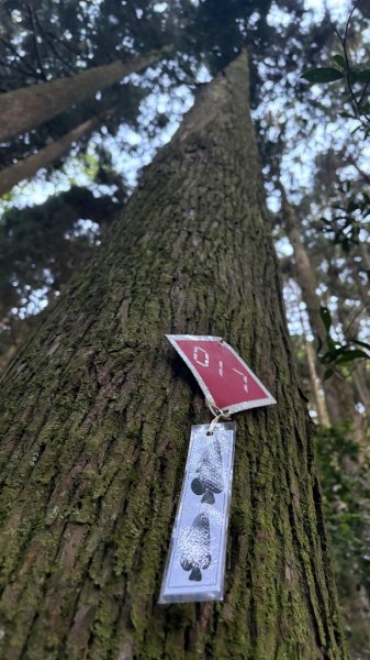 加里山東南峰2867926