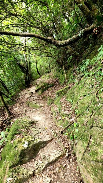 嶺腳瀑布，侯硐貓村，小粗坑古道，北投小隱潭瀑布，橫嶺古道，半嶺步道，三芝竿尾崙古道1768832