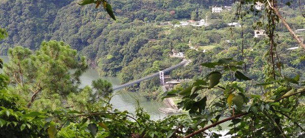 角板山公園步道-2026/08/023097911