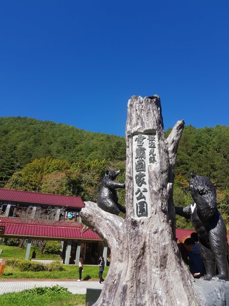 秋色的武陵463386