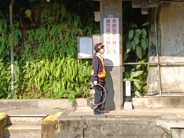 平溪區大華車站-乾坑古道石龜將軍-平湖西步道-番子坑山-平湖大厝-十分車站3037253