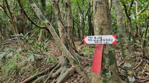 隆隆山腰古厝群古道(福卯古道)＆隆嶺古道2560808