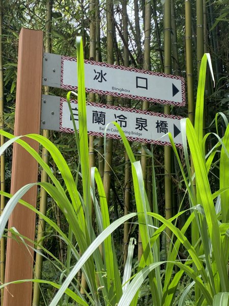 20250705-Ep.02白蘭溪古道-2025森遊竹縣皮皮獅探險隊2851381