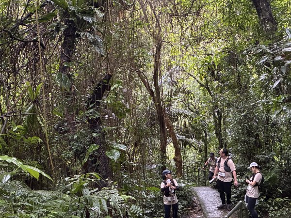 《2026探旅新北定向越野｜深坑場山徑挑戰！瀑布旁拉繩陡上超刺激》3056725