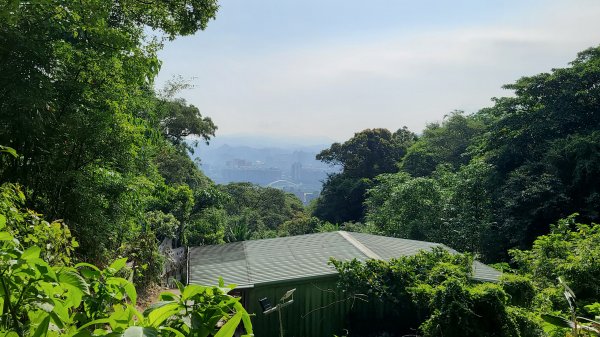 2021-0503柴埕小繞1385989