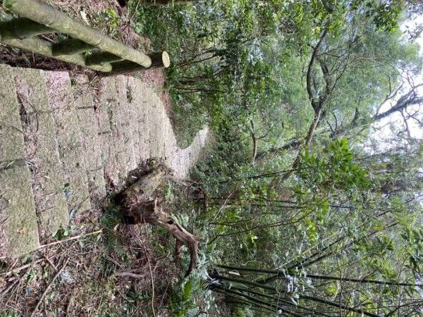 故宮～狗殷勤古道～平等里～平溪古道～小溪頭～大崙頭山～大崙尾山～東吳大學 O型連走2642672