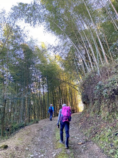 過坑山南峰連走過坑山(再登)1236650